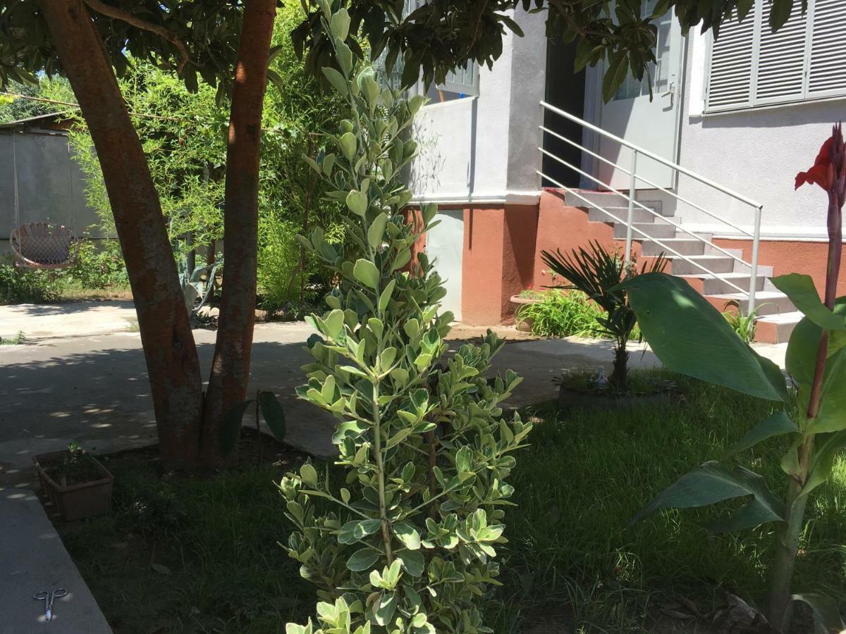 Green House Tiflis Dış mekan fotoğraf